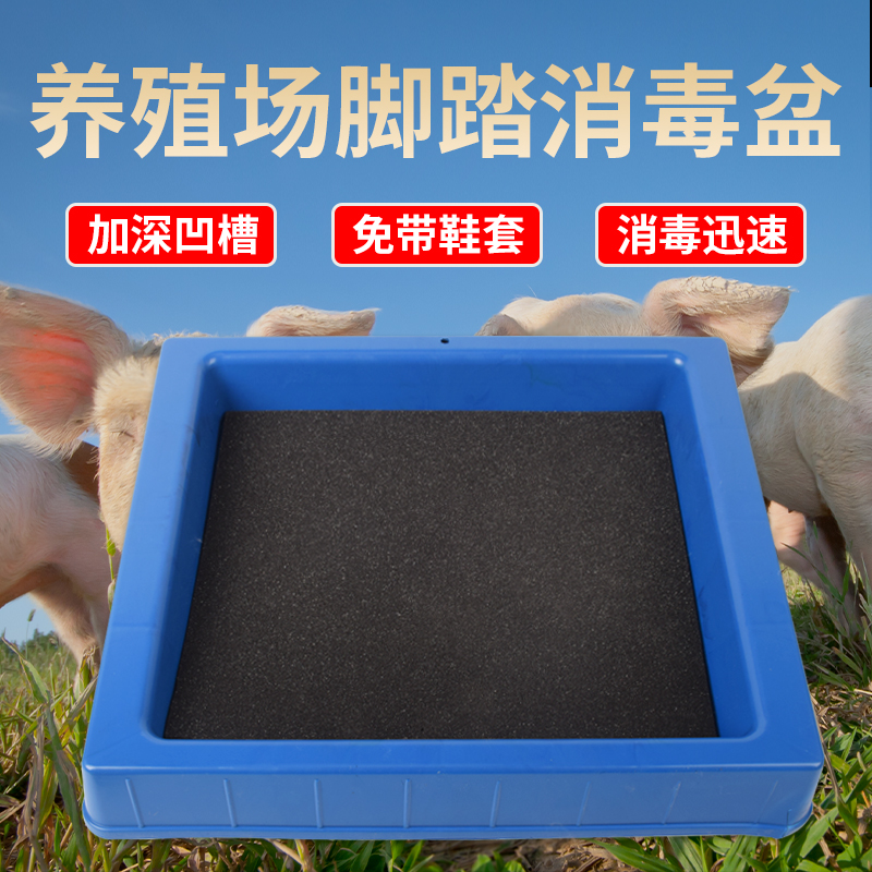 鞋底消毒鞋盒槽猪场消毒