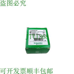 原装供应电气CA2KN31P7,050031,控制继电器接触器启动器230