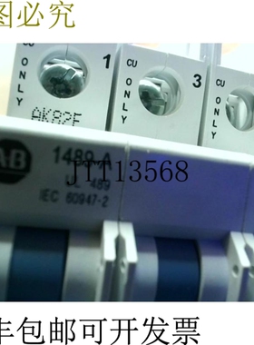 原装供应Allen Bradley 1489-A3C300 模具 30A 3P 277/ -