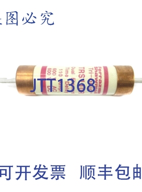 原装供应FERRAZ SHAWMUT TRS110R 600VAC/600VDC 110A NSNP