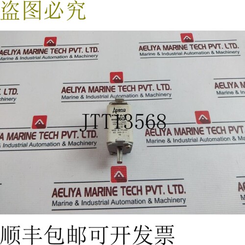 原装供应就WTN00 GL/GG 保险丝 160A 100KA ~ 500V