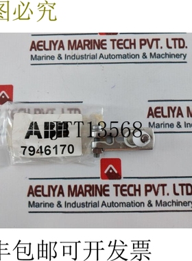 原装供应   7946170 结构型杠杆及配件 30 毫米 762.11.07.005