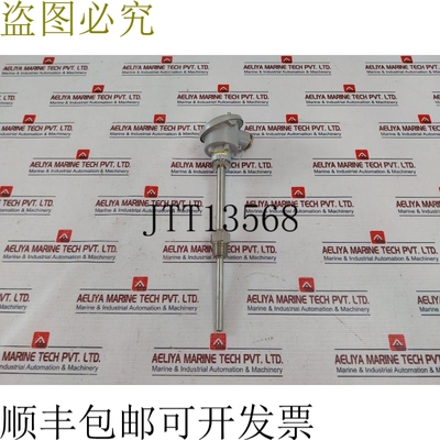原装供应热电偶 Topgn11-b-100-24.1cmnpt-a-3 温度传感器