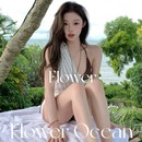 性感bikini分体泳衣三件套小胸温泉度假泳衣 泰美啦 新款