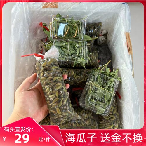 原产地直发福建海瓜子鲜活海鲜贝类潮汕薄壳送金不换应季无沙海螺