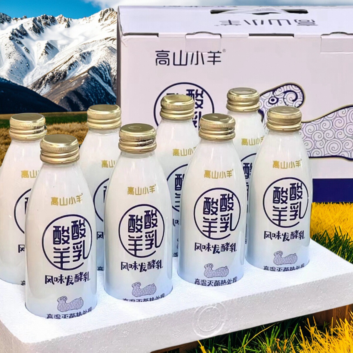 高山小羊瓶装酸羊奶礼盒儿童酸奶