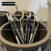 现货NEIGHBORHOOD块根植物种植授粉镊子多肉植物弯头工具聂子夹子