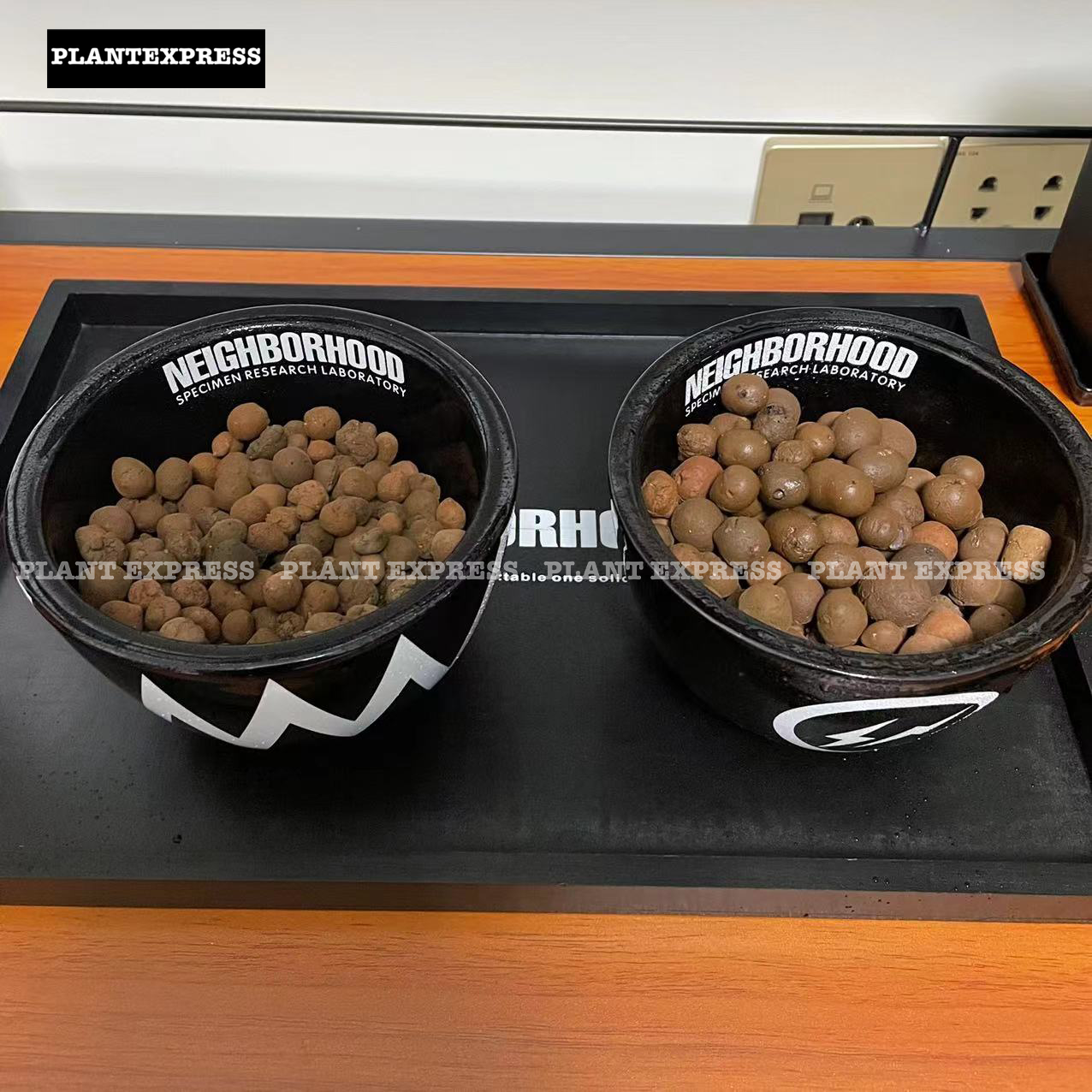 nbhd块根植物垫底陶粒防烂