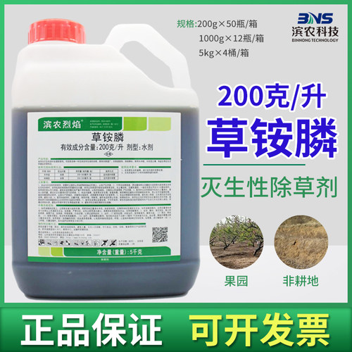 滨农科技滨农烈焰牛筋草