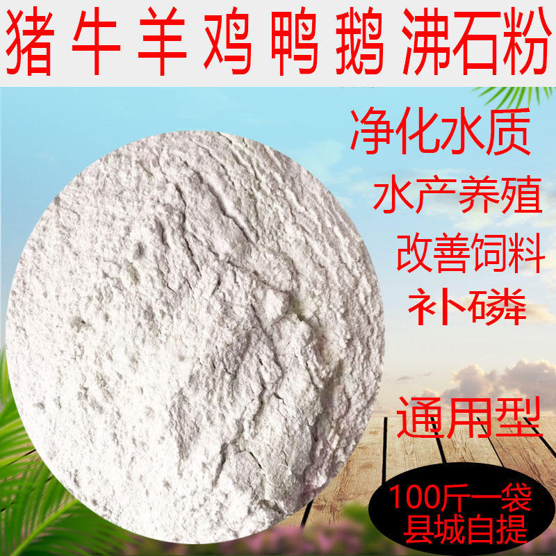 特价【沸石粉】饲料级添加剂/水质净化剂/50公斤