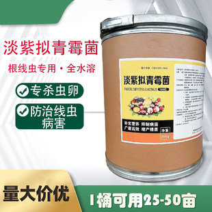 100亿淡紫拟青霉菌生物菌紫孢菌肥根线虫专用根瘤病大姜山药50斤
