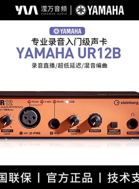 YAMAHA/雅马哈UR12B USB声卡专业录音配音有声书直播K歌编曲录书