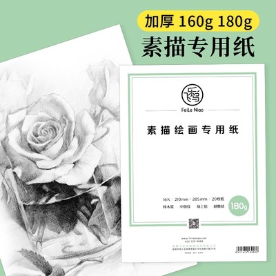 飞乐鸟素描专用纸 8K速写纸 进口木浆纹理清晰耐擦拭 美术生专用练习纸160g易携带适用彩铅