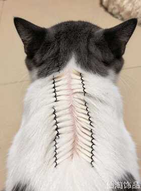 精致宠物发夹发夹夹子猫咪驱虫分毛夹具宠物发夹狗狗ins风