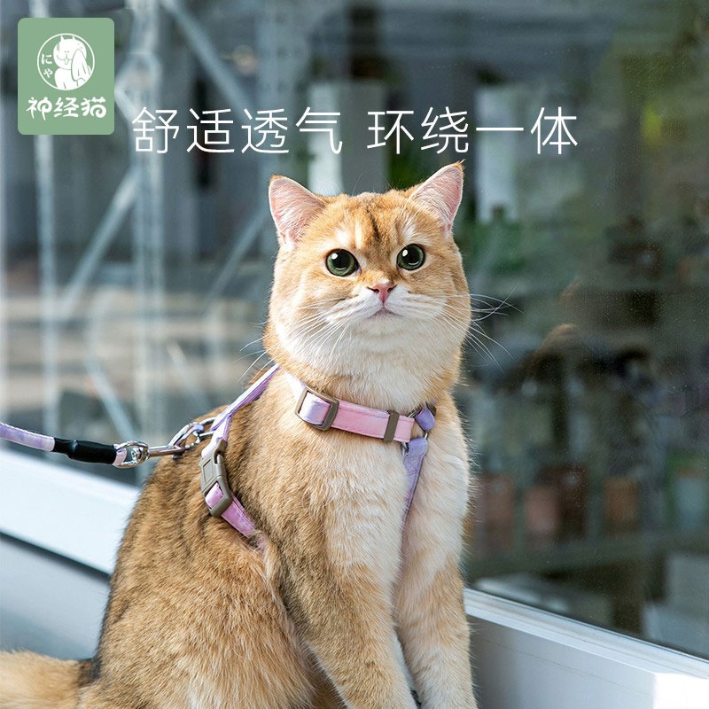 猫咪牵引绳莱伺狗防挣脱