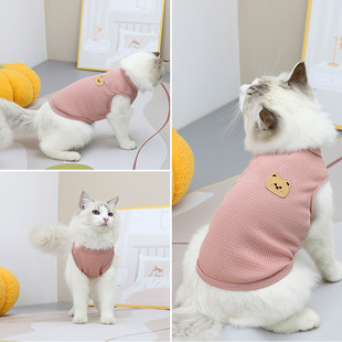 宠物猫咪衣服潇洒熊T恤小狗小猫宠物服饰休闲春夏款猫狗衣服