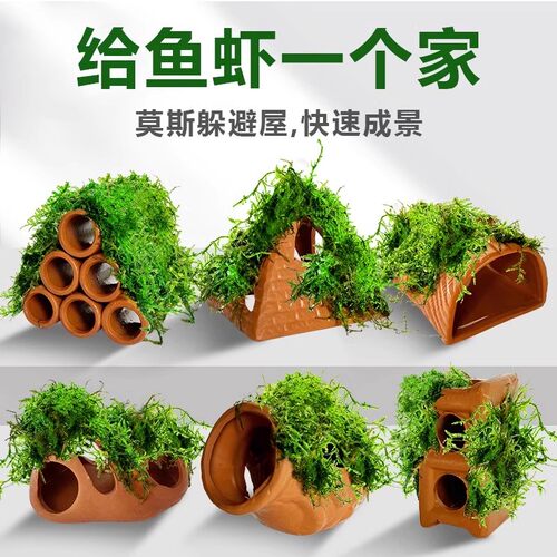 莫斯陶罐水草鱼缸造景装饰躲避屋