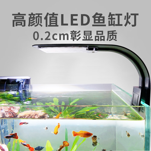 小型鱼缸灯夹灯多少钱 小型鱼缸灯夹灯价格 小麦优选