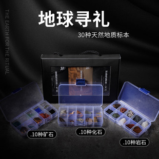 30种古生物化石菊石标本盒矿石水晶原石摆件儿童教学地质科普礼物