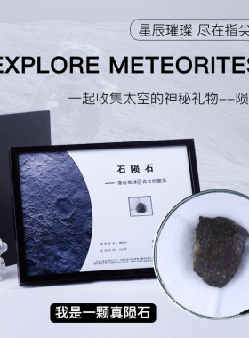 石陨石三叶虫原石装饰摆件礼物