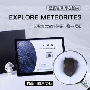 天然石陨石装饰摆件流星礼物镍铁球粒三叶虫原石男生女生网红礼品