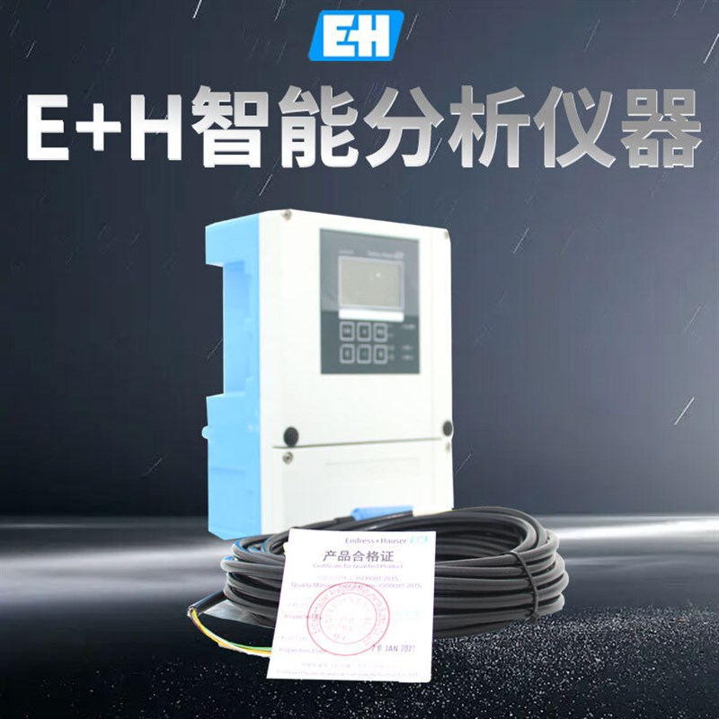 E+H原装水分析PH计ORP电导率溶氧仪CMP253 H442 42CPS11DCPS12D
