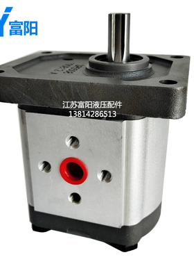 齿轮泵 调直机高压泵CBN-G310 G314 G306 G320 G325 G316液压油泵