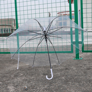 塑料透明雨伞8骨自动直柄长柄透明太阳遮阳伞超大可定 制