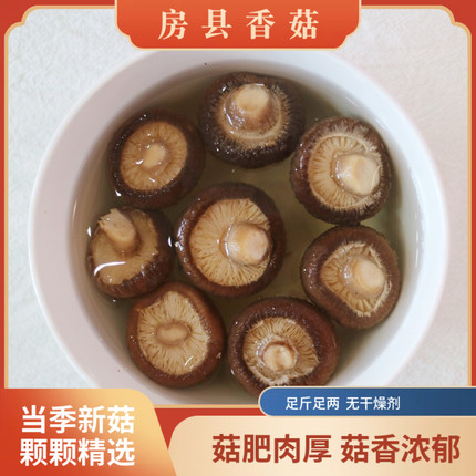 神农架小香菇干货香菇500g椴木金钱菇农家特产包邮房县花菇非东北