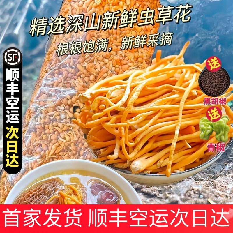 新鲜虫草花湿货鲜货正品孢子头北金虫草菇煲汤材料蛹虫草顺丰空运