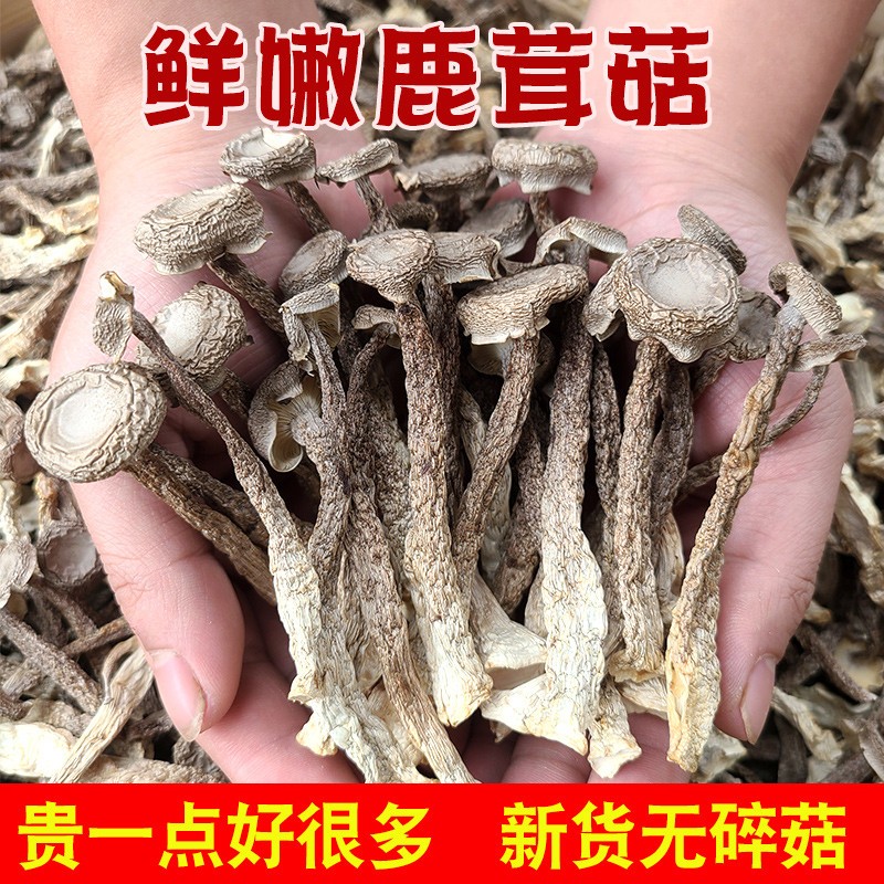鹿茸菇鹿茸菌干货特产新鲜精品食用菌菇干脆脆菇美味炖汤蘑菇250g