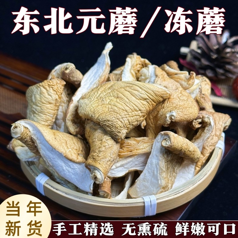 东北元蘑冻蘑菇干货非野生元蘑新货干黄蘑菇冬菇无根菌菇肉厚特产