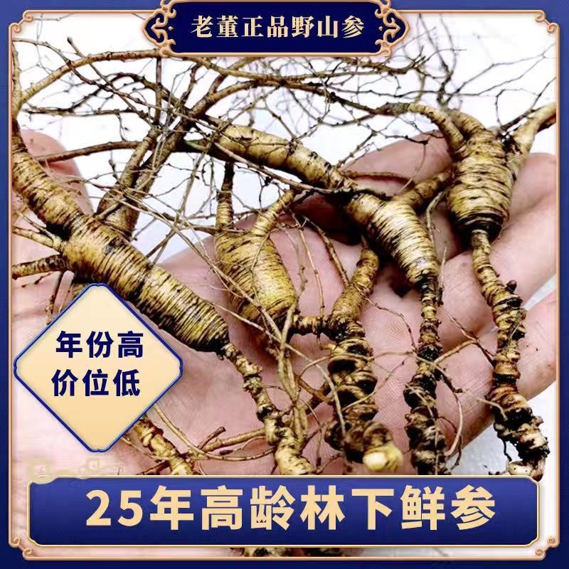 25年鲜人参长白山新鲜林下参30年野山参东北纯野生山参泡酒拍照选