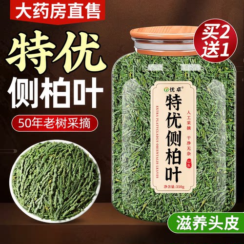 特级侧柏叶中药材新叶无杂