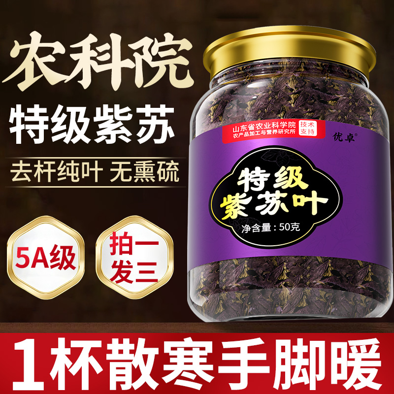 紫苏叶新鲜食用中药材泡水喝的功效与作用苏子叶官方旗舰店正品