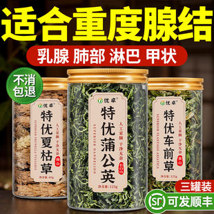 车前草蒲公英夏枯草正品特级野生中药材泡水喝的功效与作用