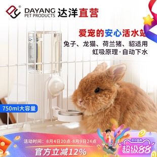 达洋直营兔子自动饮水器悬挂式外置水壶龙猫荷兰猪专用喝水器5206