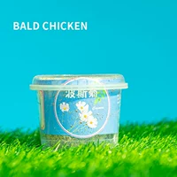 Персидская хризантема