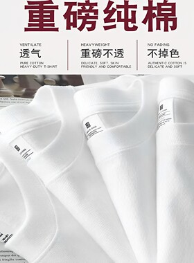 与竹纯棉男女款秋冬内搭白色上衣纯棉长袖t恤（礼盒装）