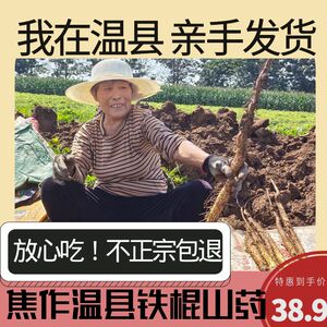 【不正宗包退】新鲜河南焦作温县铁棍山药垆土地铁棍正宗怀淮山药
