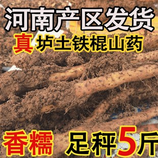 10斤铁杆山药 土拔香铁棍山药新鲜正宗河南焦作山药温县垆土淮山5