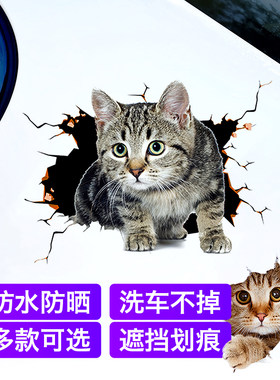 汽车宠物猫贴纸创意个性