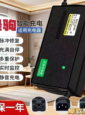 适用绿驹原装电动车充电器48V60V72伏铅酸石墨烯