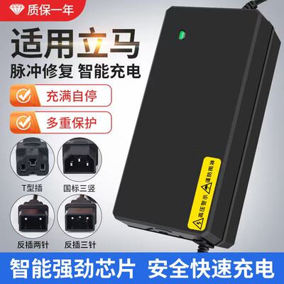 适用立马电动车充电器48V60V72伏铅酸石墨烯脉冲新国标