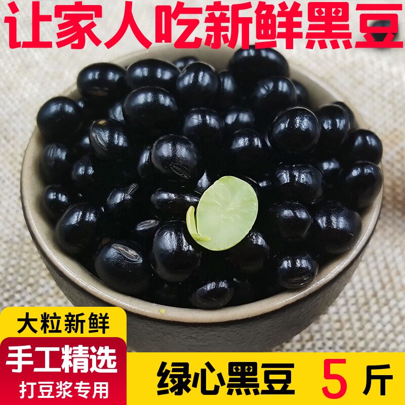 溢田黑豆5斤农家自种新鲜杂粮