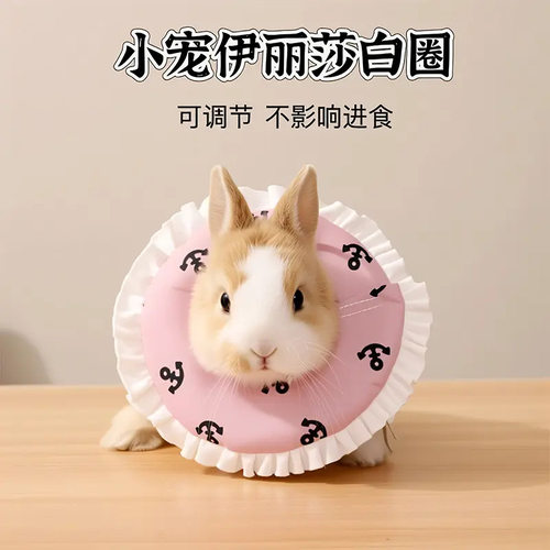 小宠伊丽莎白圈防舔防脱落侏儒兔荷兰猪龙猫仓鼠防护圈可调节围兜
