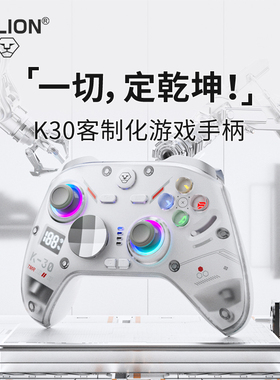 澳加狮K30游戏手柄PC电脑Steam适用任天堂Switch手柄Pad地平线6