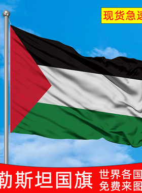 巴勒斯坦国旗palestine围巾装饰旗帜花园旗现货各国国旗定制