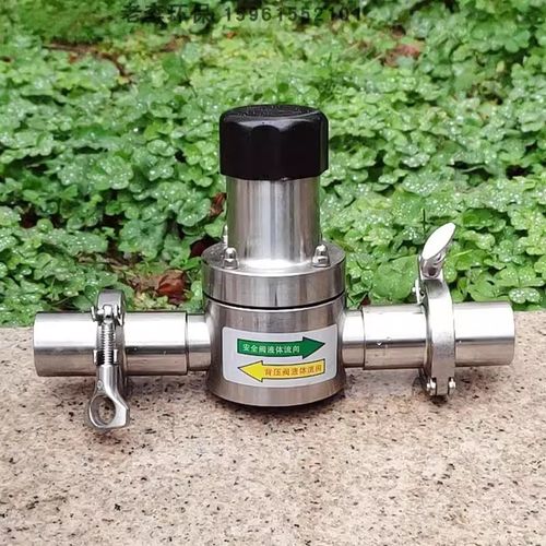 背压/安全阀/单向阀不锈钢内丝/快装/法兰式计量泵304/316L环保