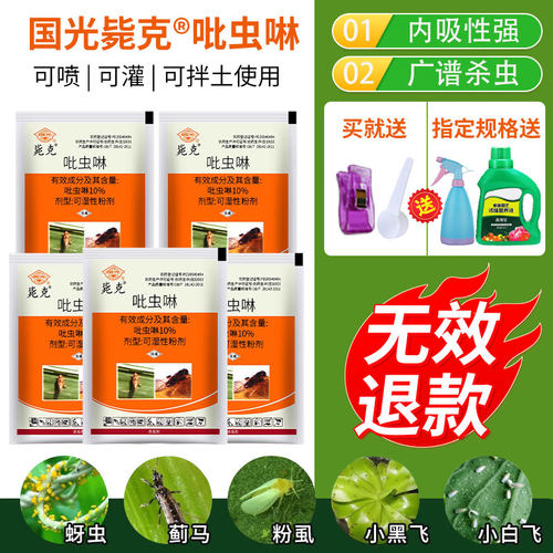 国光多肉月季蚜虫蚧壳虫小白药